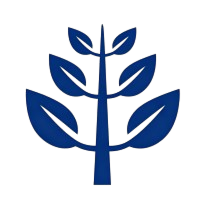 高效